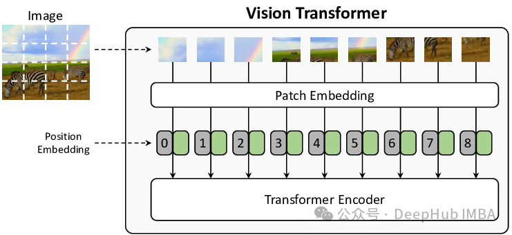 Vision Transformer中的图像块嵌入详解：线性投影和二维卷积的数学原理与代码实现